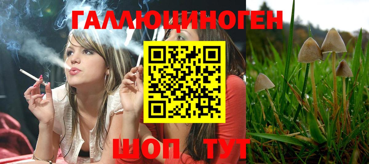 Галлюциногенные грибы ЛСД  Вход с VPN  Волхов  Псилоцибиновые грибы Psilocybe 